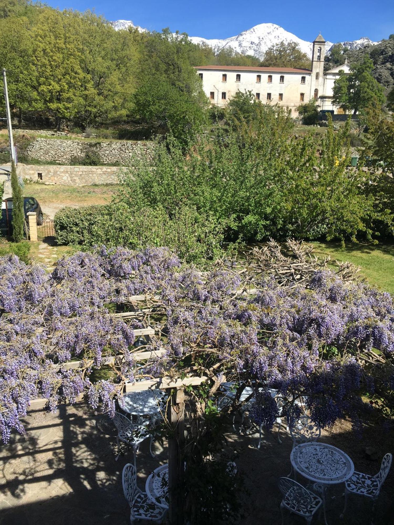 Casa Meridiana Otel Calacuccia Oda fotoğraf